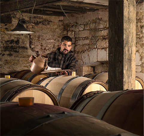 Domaine Deliance - Notre philosophie