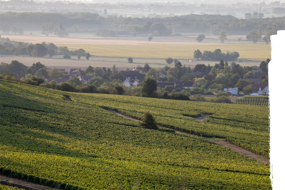 Domaine Deliance - Notre Terre, terre sacrée...