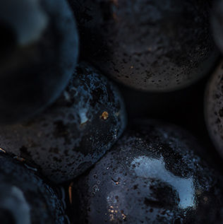 Domaine Deliance - Le vigneron façonne son monde par l’âme du vin qu’il désire